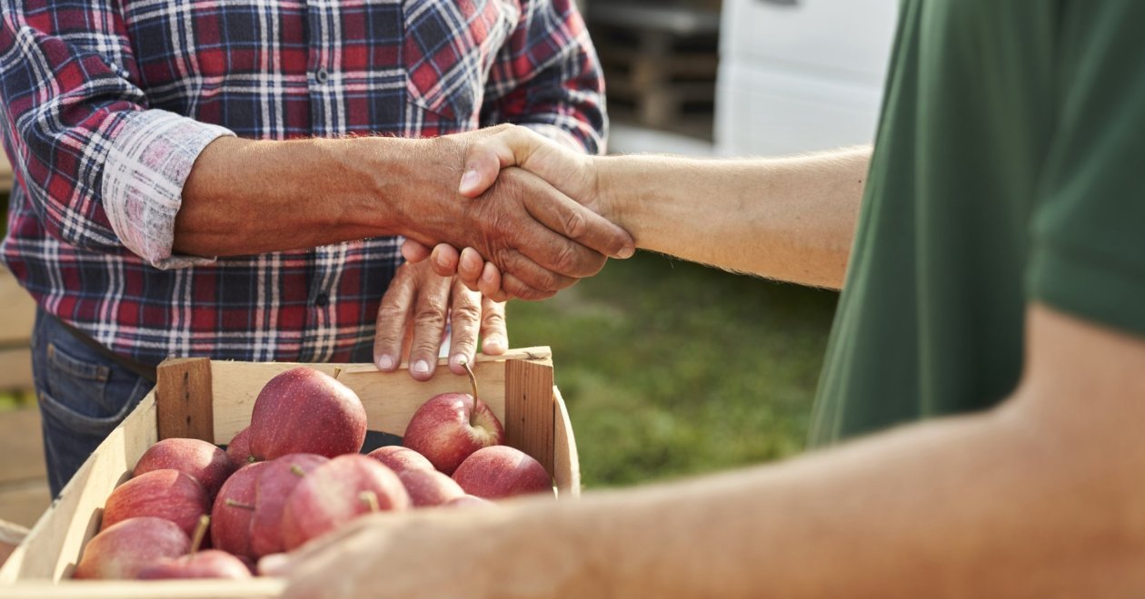 Hogyan jutnak el a termelői alapanyagok az éttermekbe?