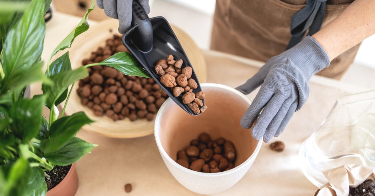 Agyaggolyók a növénygondozásban: Minden, amit tudnod kell