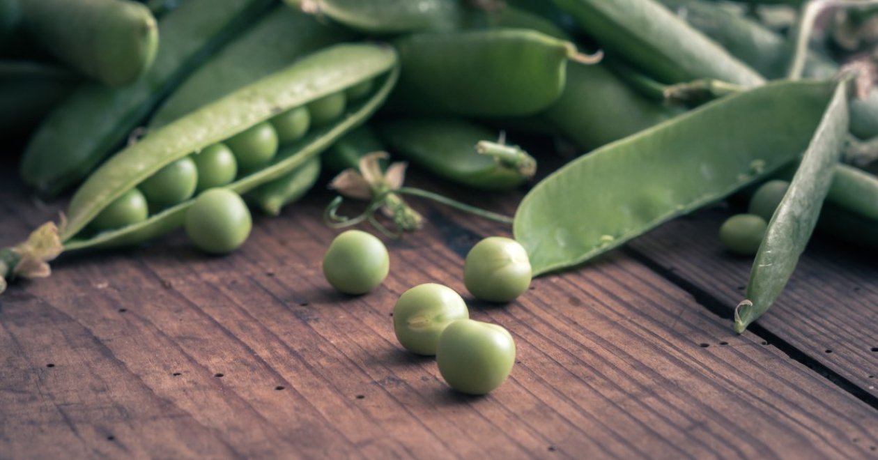 Téli borsó vetése: hasznos tippek a gazdag tavaszi szürethez