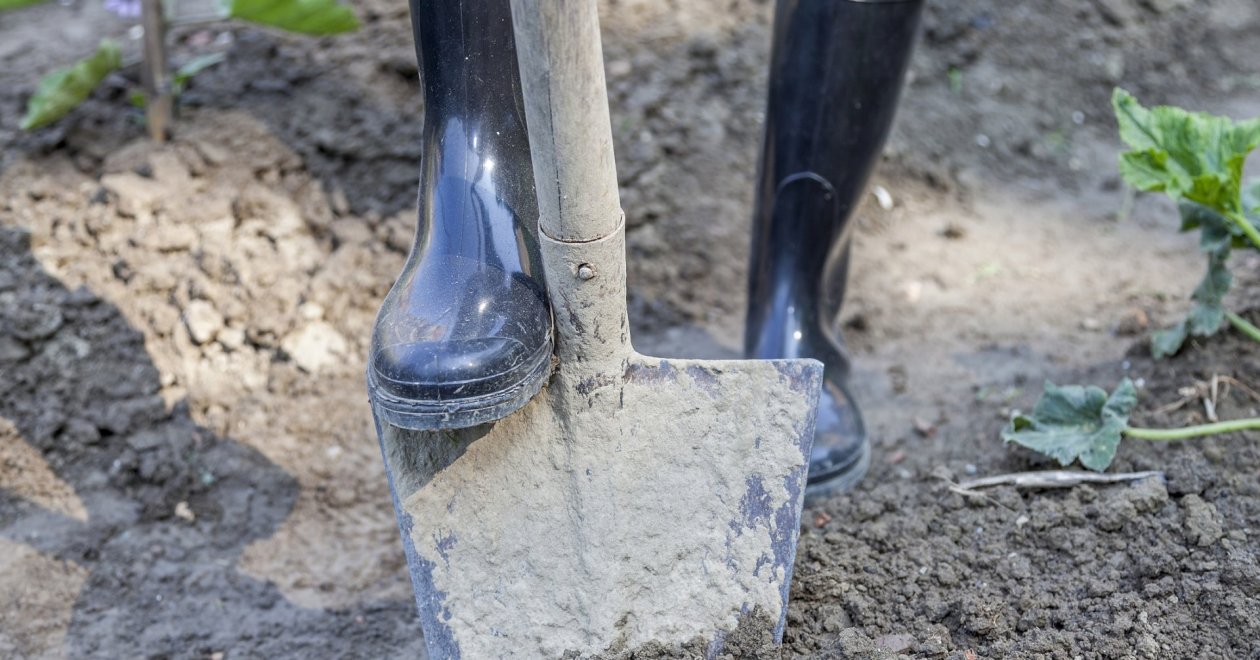 Az ásás: a talajforgatás előnyei és hátrányai szakértői szemmel