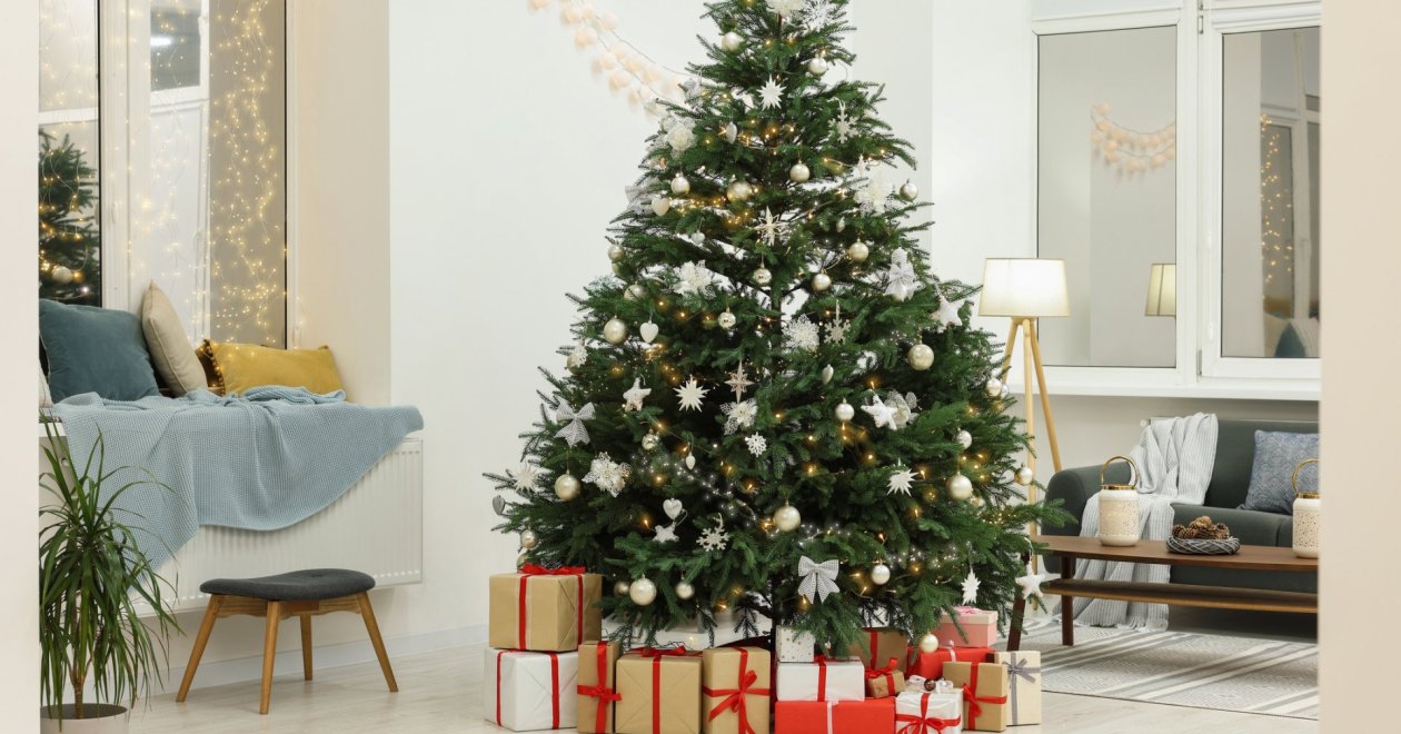 Vágott vagy földlabdás karácsonyfa? Így válassz a szakértő szerint