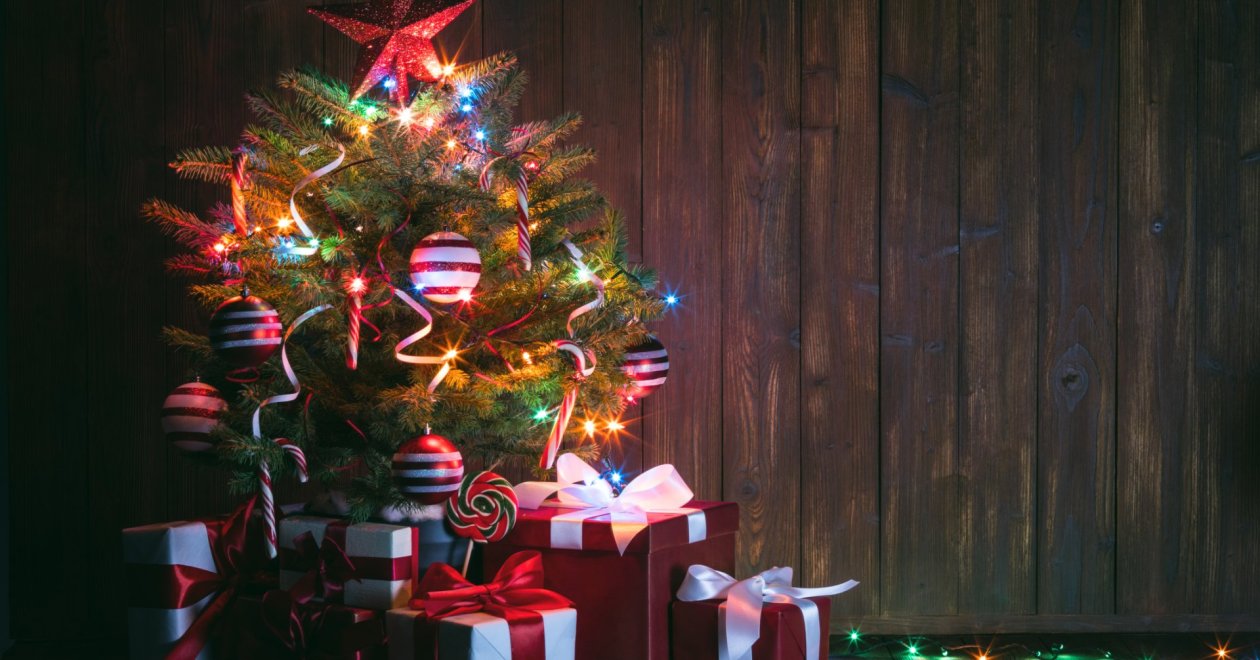 A földlabdás fenyőfa és kreatív, környezetbarát karácsonyfa megoldások