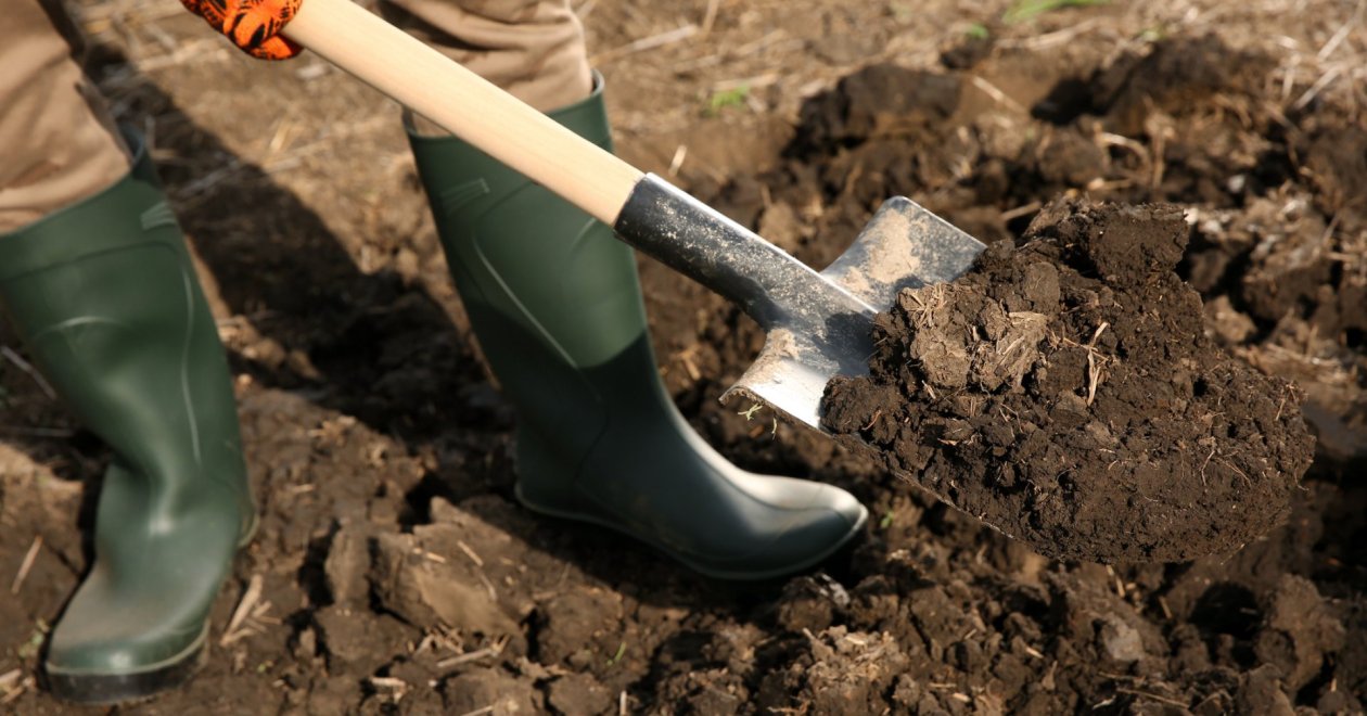 Téli kerti munkák: Hogyan gondozzuk kertünket a hideg hónapokban?