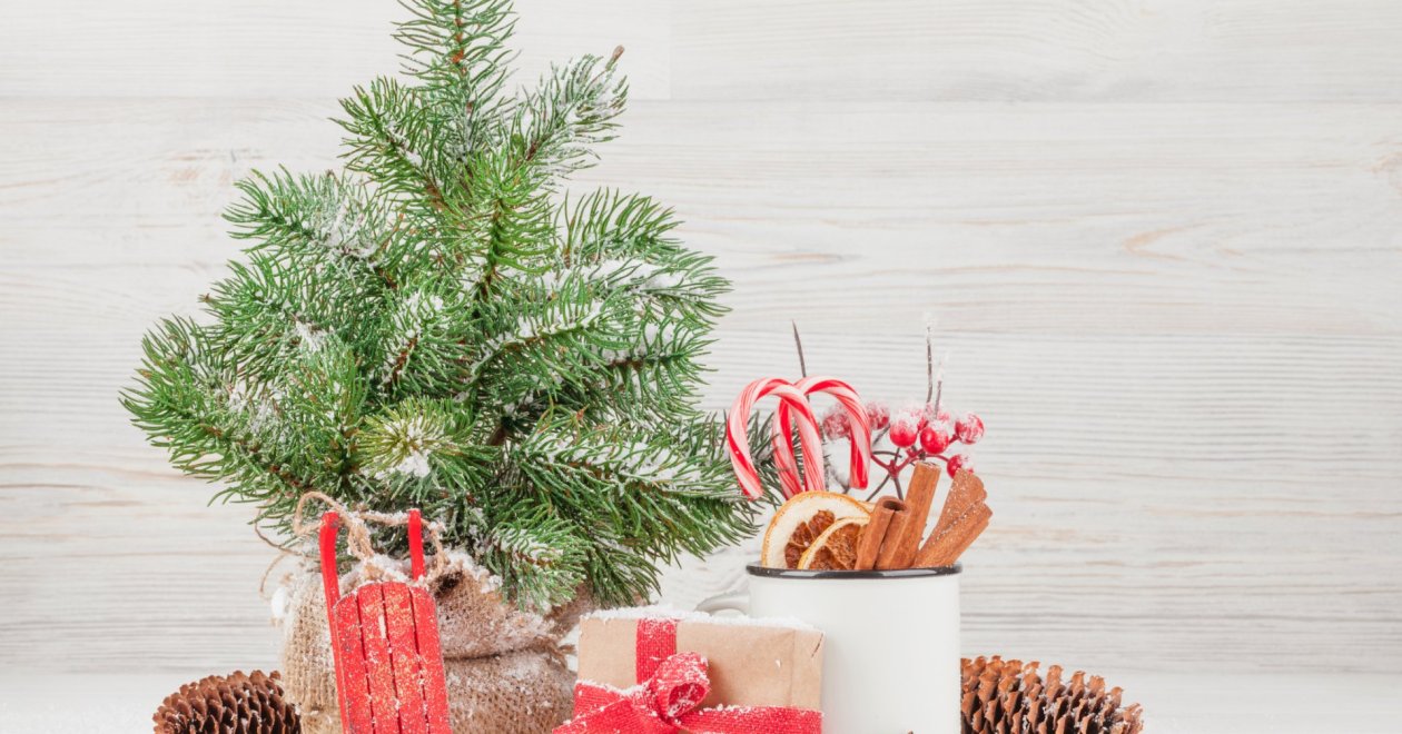 Hallottál már a karácsonyfa nevelő szettről? Neveld fel a fenyődet