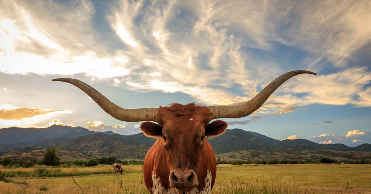 A tejtermékek lehetséges egészségügyi kockázatai