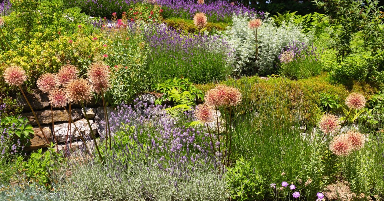 Az angolkert egy varázslatos kertészeti élmény: így alakíts ki otthon