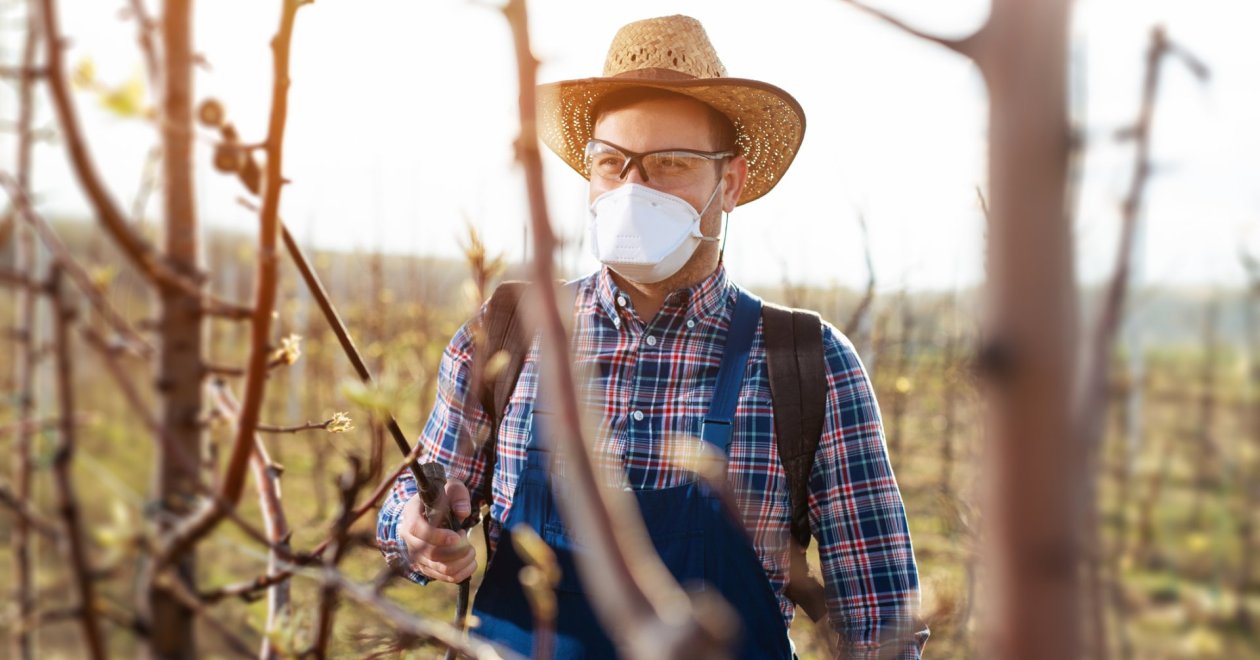 Milyen összetételű szert használjunk az őszi lemosó permetezéshez? 