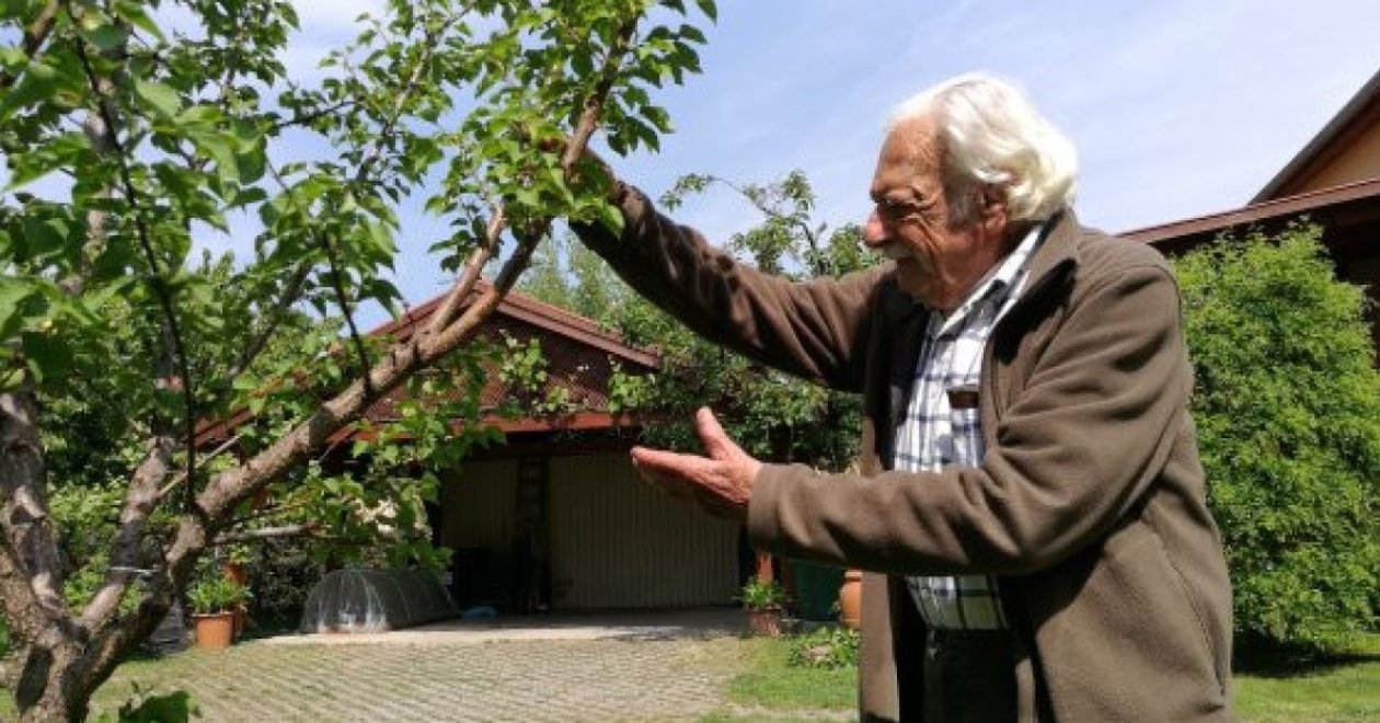 Október elején készüljünk elő a faültetéshez Bálint gazda örökzöld tanácsaival