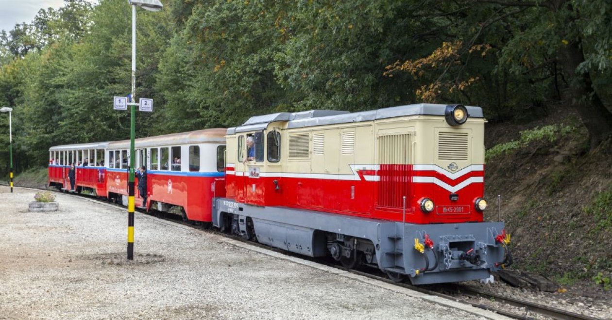 7 erdei kisvasútvonal – Nyitási időpontok, jegyárak és minden, amit tudnod kell!