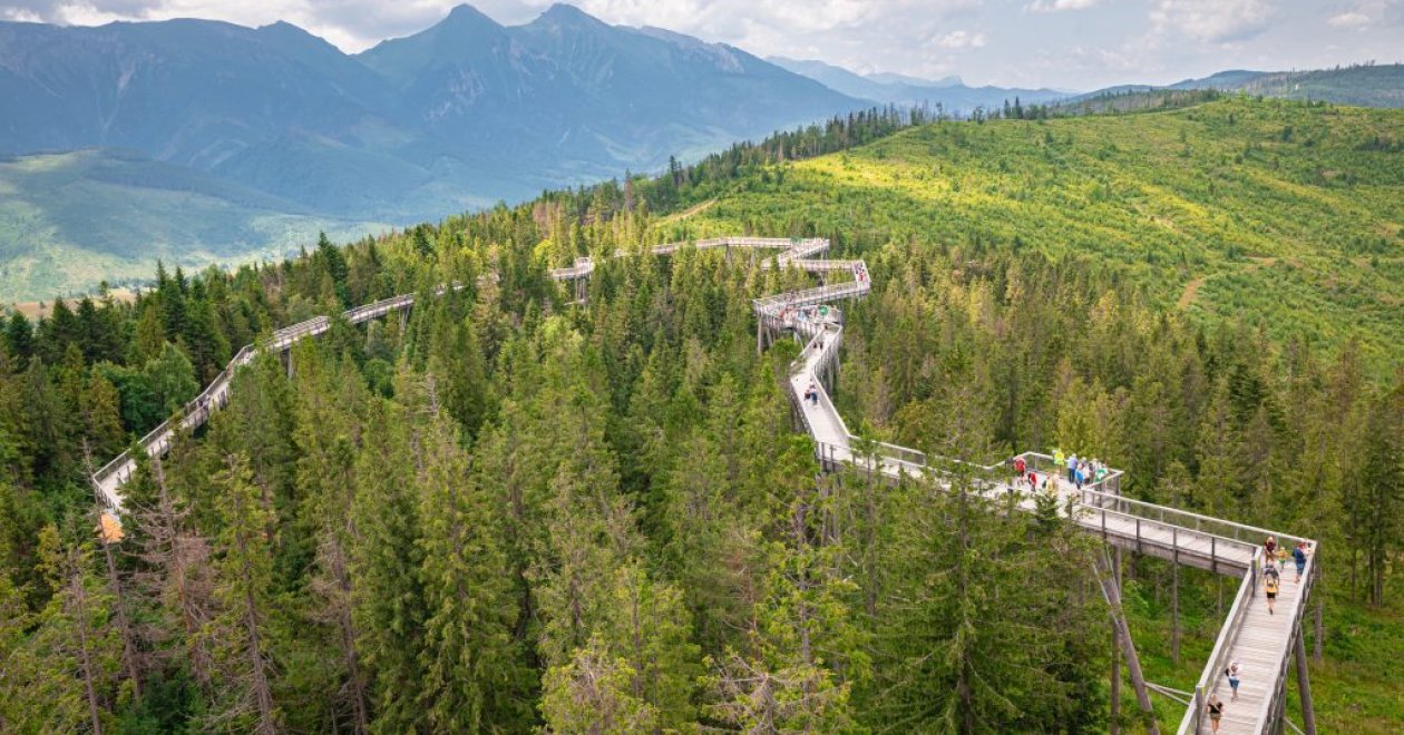 Bakancslistás lombkorona sétányok és tanösvények itthon és a környező országokban
