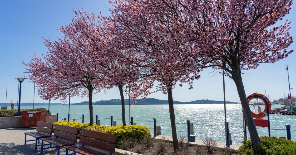 Áprilisi programkavalkád a Balatonnál – így ünnepel a tavasz a magyar tengernél