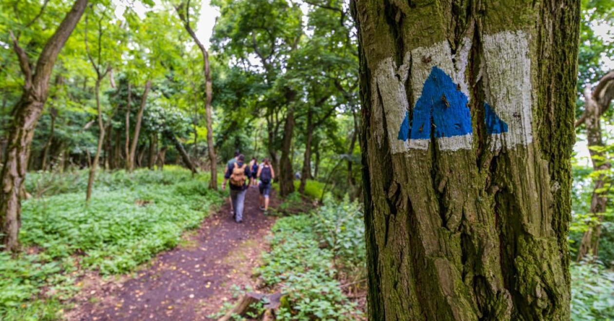 4 túra Budapest környékén tavaszi kiránduláshoz