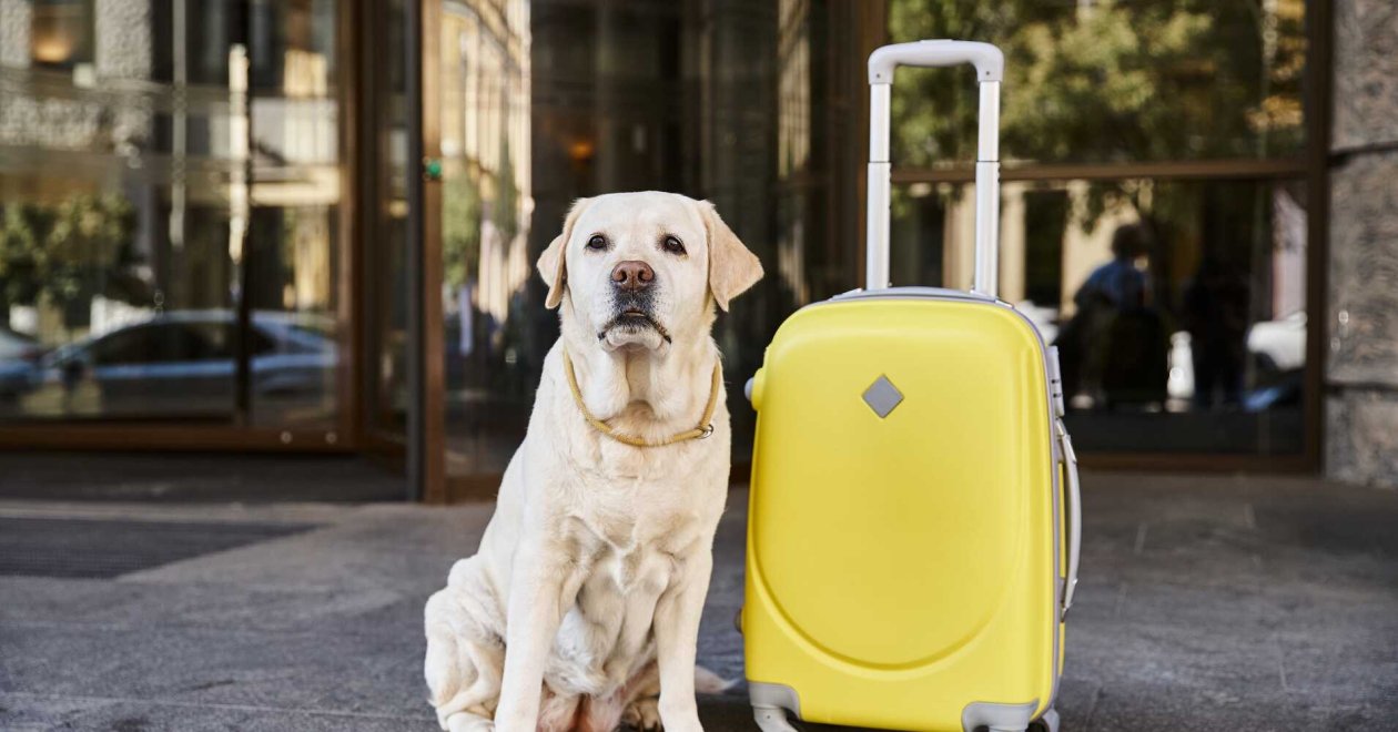 Hotel social media marketing