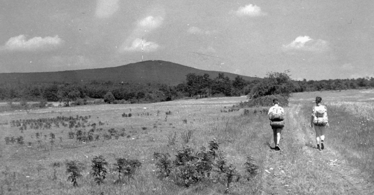 Másfélmillió lépés Magyarországon: minden magyar szívét megérintette