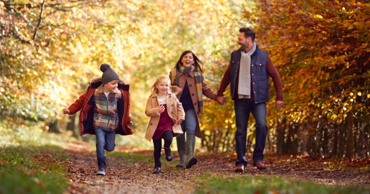 Ha ősz, akkor csodás erdei séták: irány a Mecsek varázslatos lankái