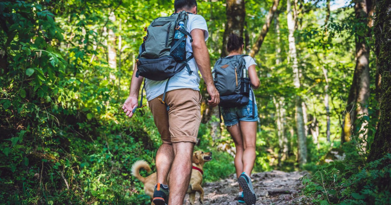 5 Balaton-felvidéki túraútvonal az őszre a kirándulások kedvelőinek