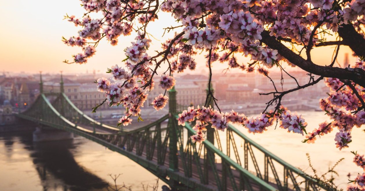 5 must-see spring attractions in Budapest not to be missed