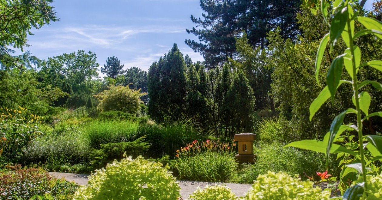 Budapest parks: the city's most beautiful gardens and oases