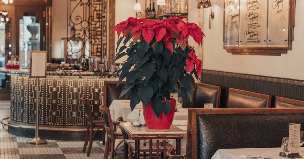 Hungarian restaurant Budapest: an iconic restaurant you must try