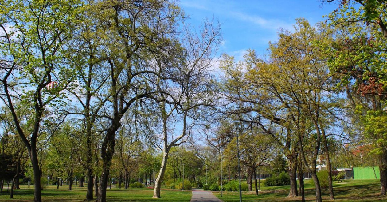 5 park Budapesten, ahova érdemes elmenni egy tavaszi hétvégén