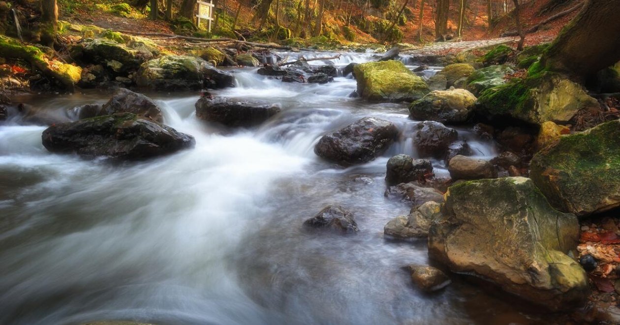 5 túravonal a Bakonyban tavaszra – Kirándulás a Kristály Hotelből