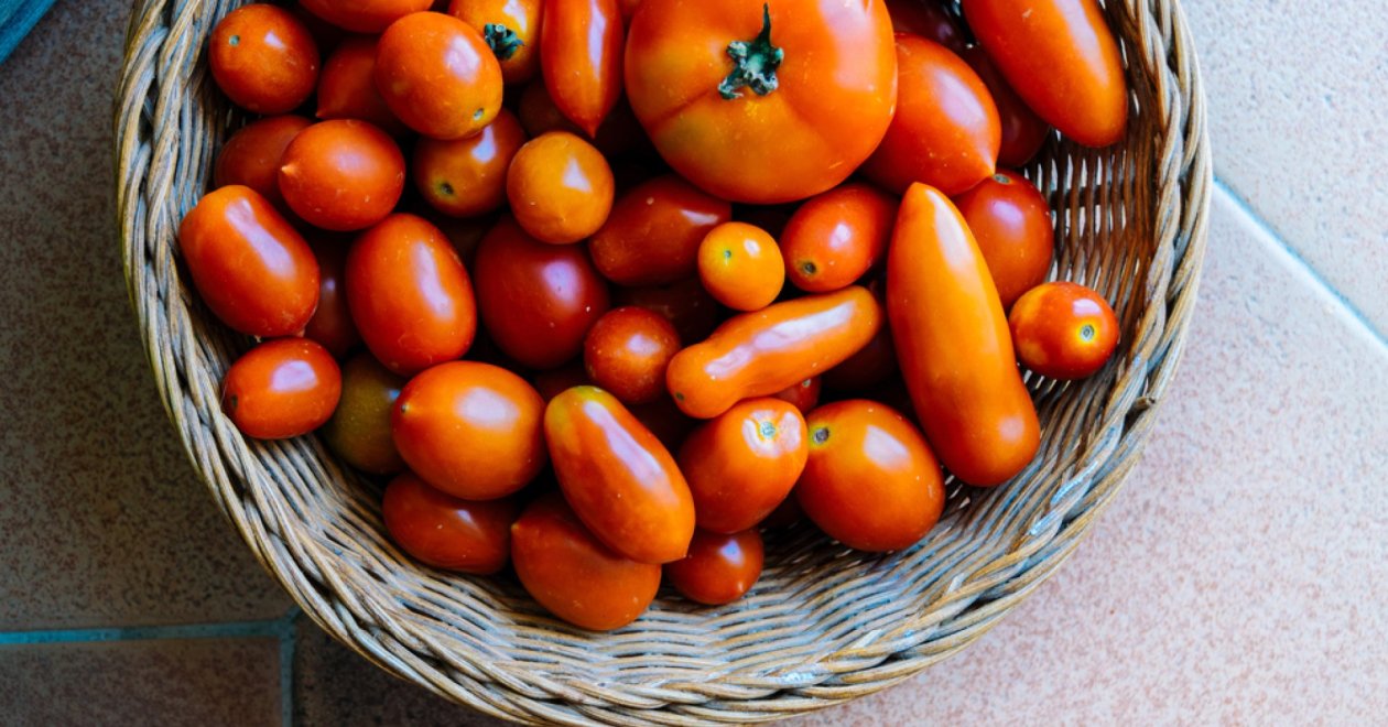 Különleges paradicsomok: az 5 legjobb paradicsom, amit te is elültethetsz