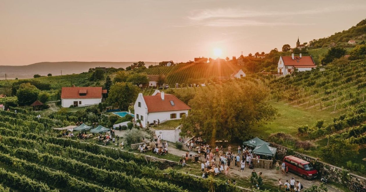 Szent György-hegy Hajnalig 2025 – Igazi bakancslistás élmény!