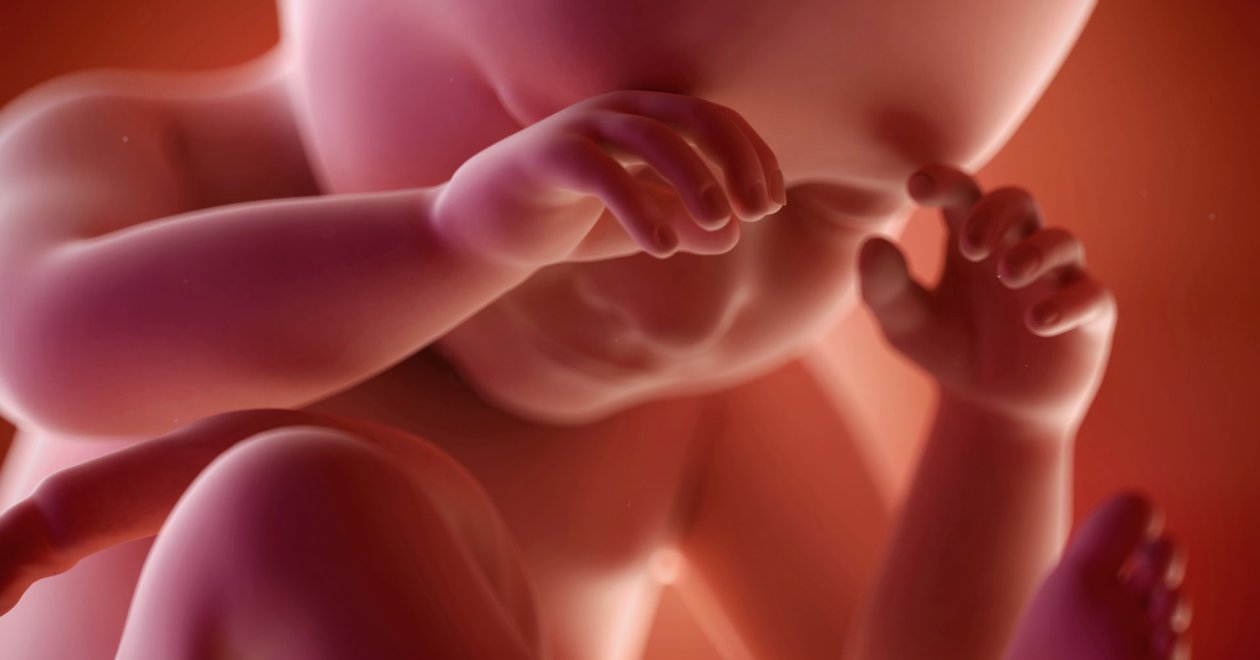 Mi történik az utolsó hetekben mielőtt megszületik kisbabád?