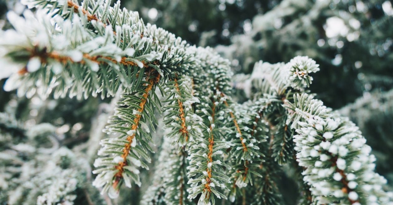 Izgalmas családi programok a téli szünetre  