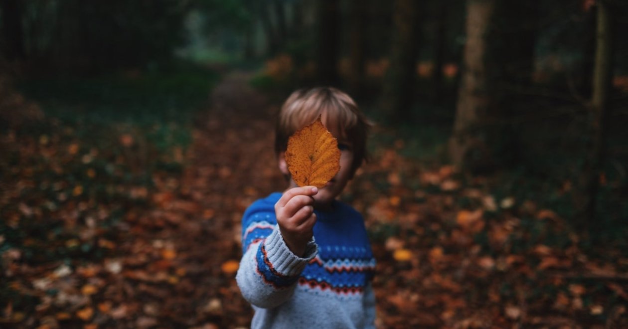 Családi programok az őszi szünetre 