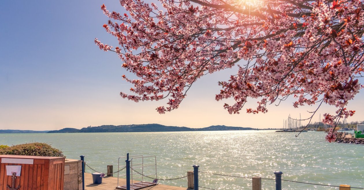 5 hely a Balatonnál, ahova el kell látogatnod tavasszal