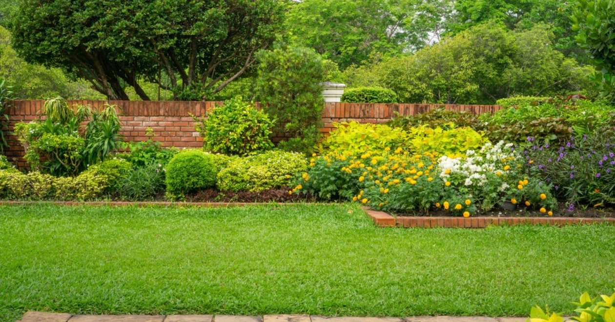 9 gyorsan növő cserje a magánszférád kialakításához a kertben