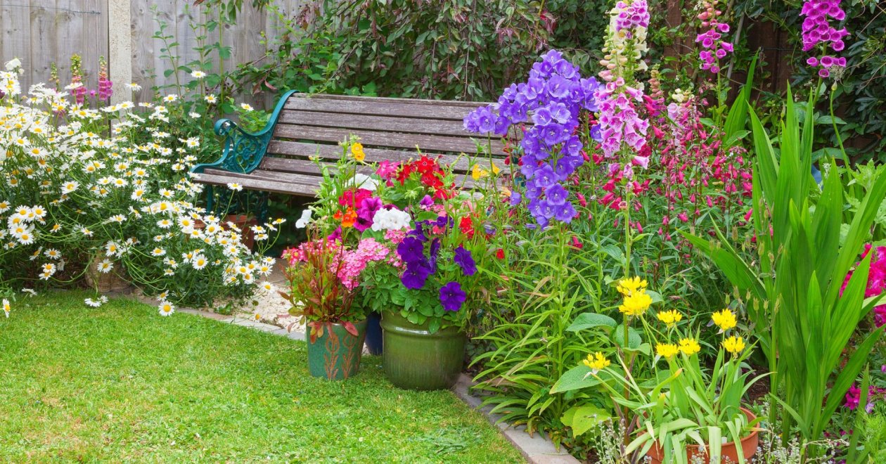 5 virág, amit mindenképpen el kell ültetned július elején