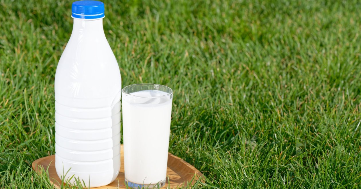 Tuti megoldás a bio növényvédelemre: A tejes permetezés