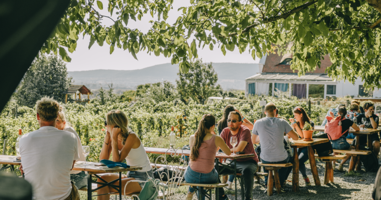 Balatoni programok július 2025: fesztiválok, sport és kultúra minden program egy helyen