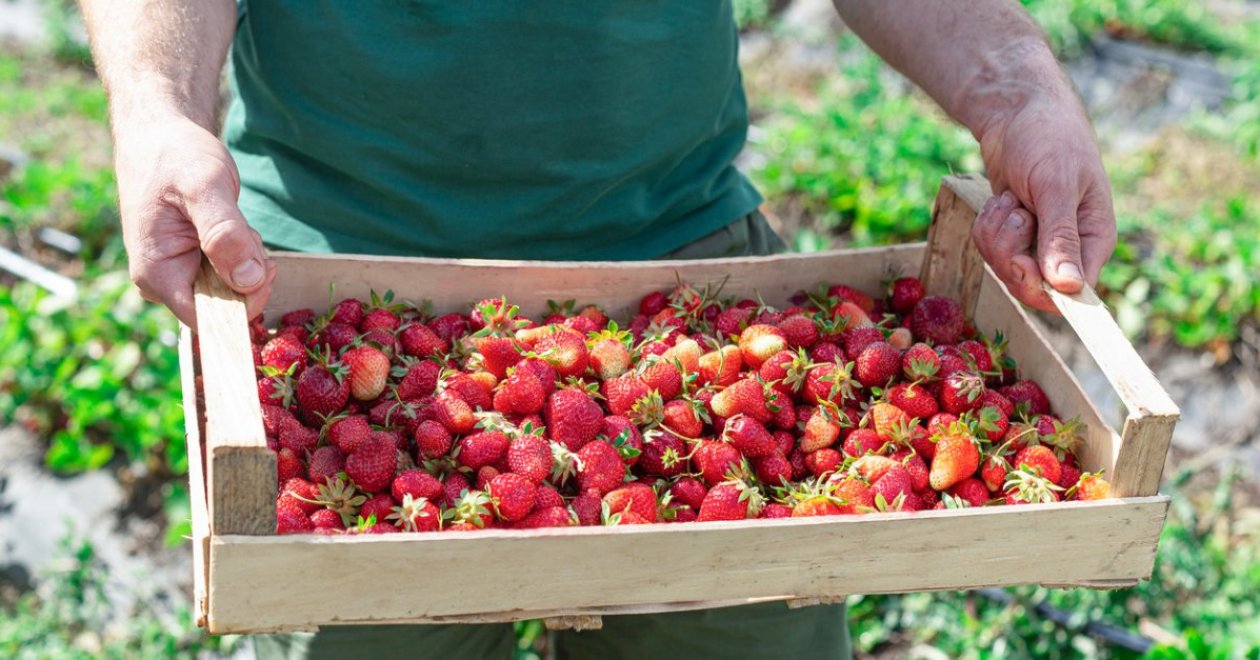 Egy marketingcsapat, amely érti a hazai vállalkozások mindennapjait 