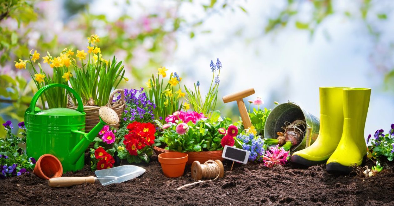 Meseszép tavaszi virágok - 7 szépség, amit ősszel érdemes elültetni