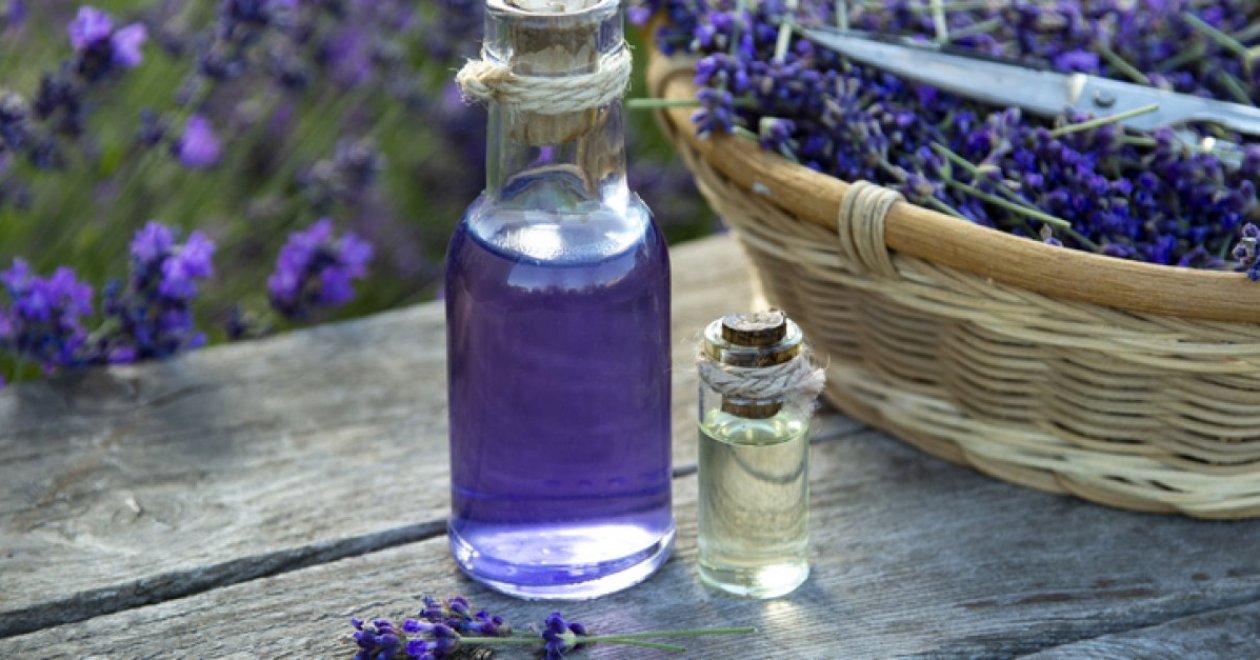Varázsolj levendulából: Kreatív tippek a virágok újrahasznosításához