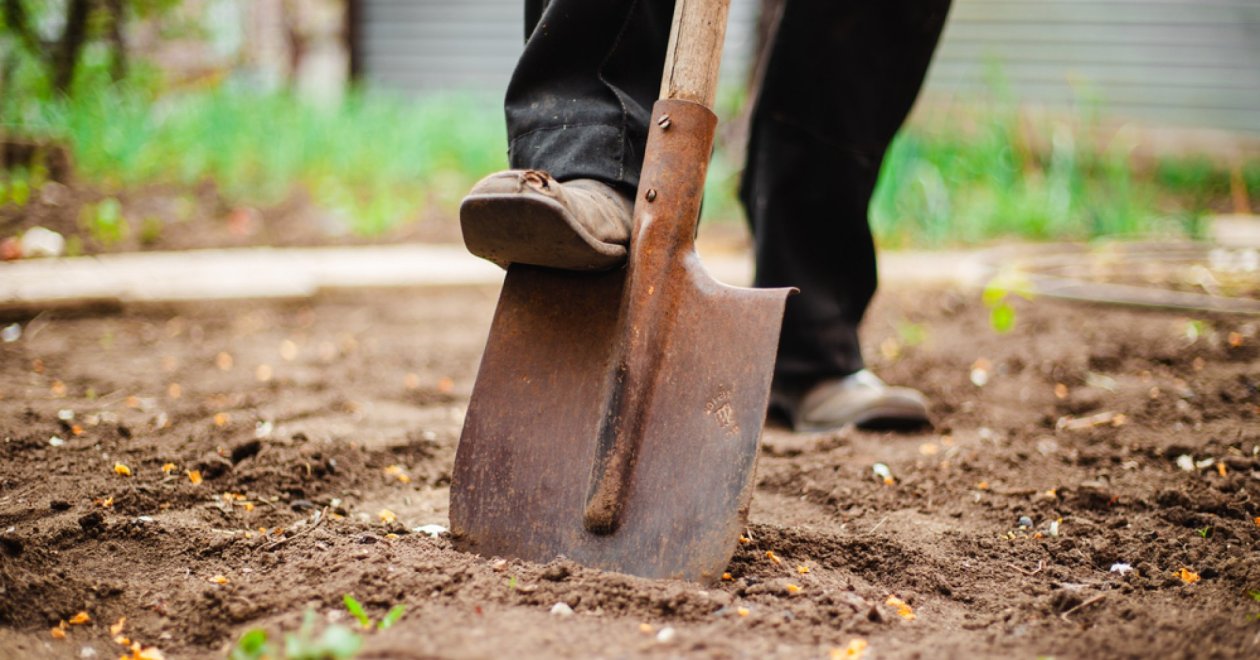 Tudod mi az őszi kert legfontosabb teendője? - Gyere, mutatom!