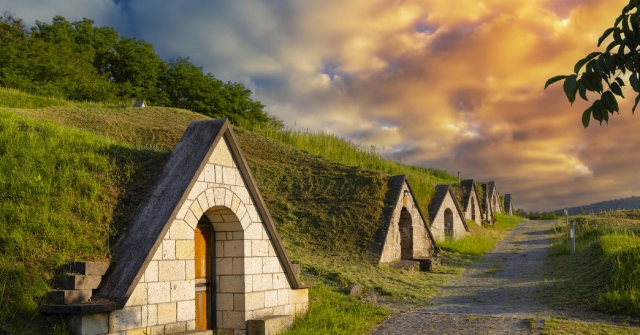 Tokaj ősszel – Bor, dűlők, naplementék és 3 kihagyhatatlan kilátópont
