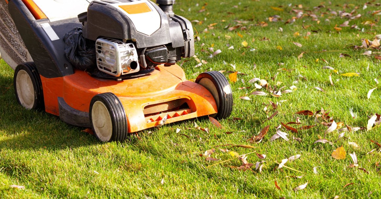 Mikor nyírjuk le utoljára a füvet a tél előtt?