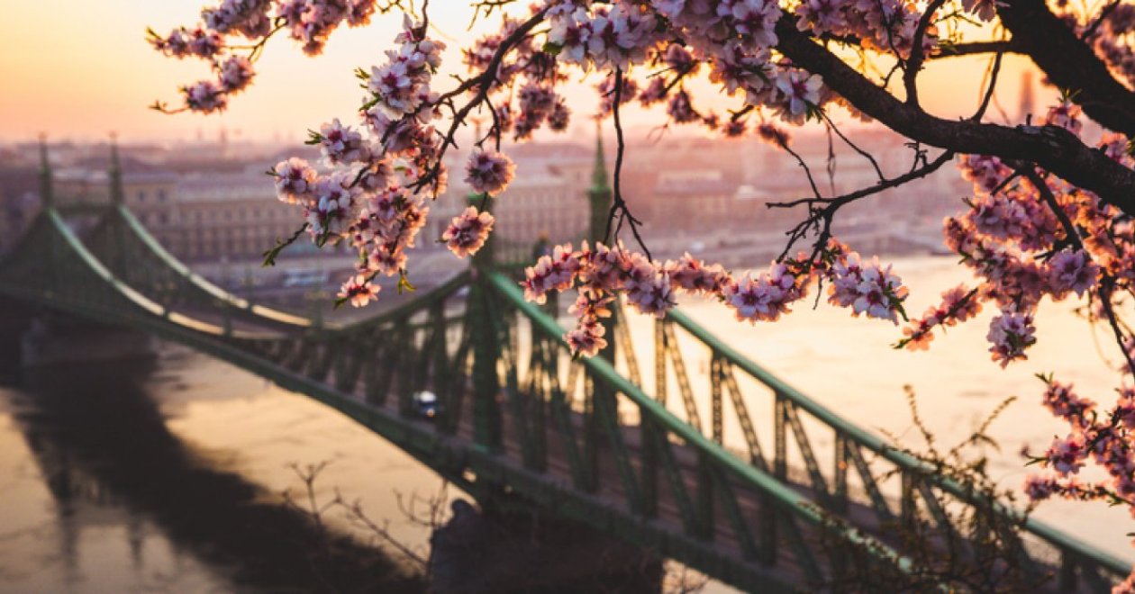 4 Must-See Spring Spots in Budapest