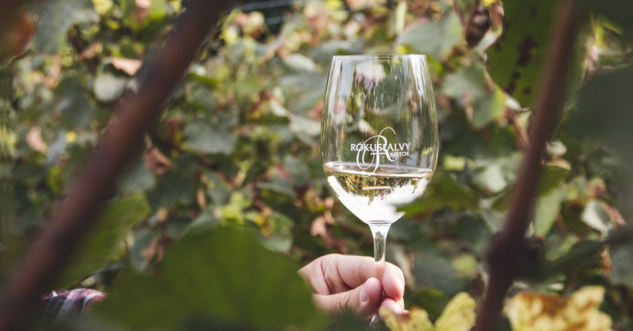 Discover Another Side of Budapest: Join a Wine Tour to Etyek with City & Wine